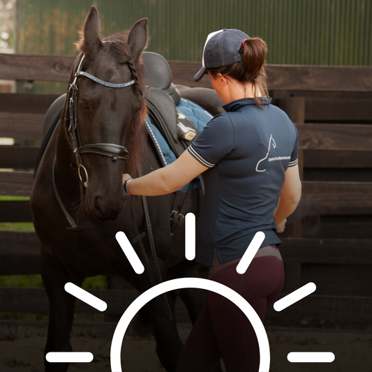 Sunshine Coast Groundwork to ridden Clinic 22 & 23th August