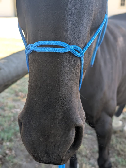 Equine System Halter