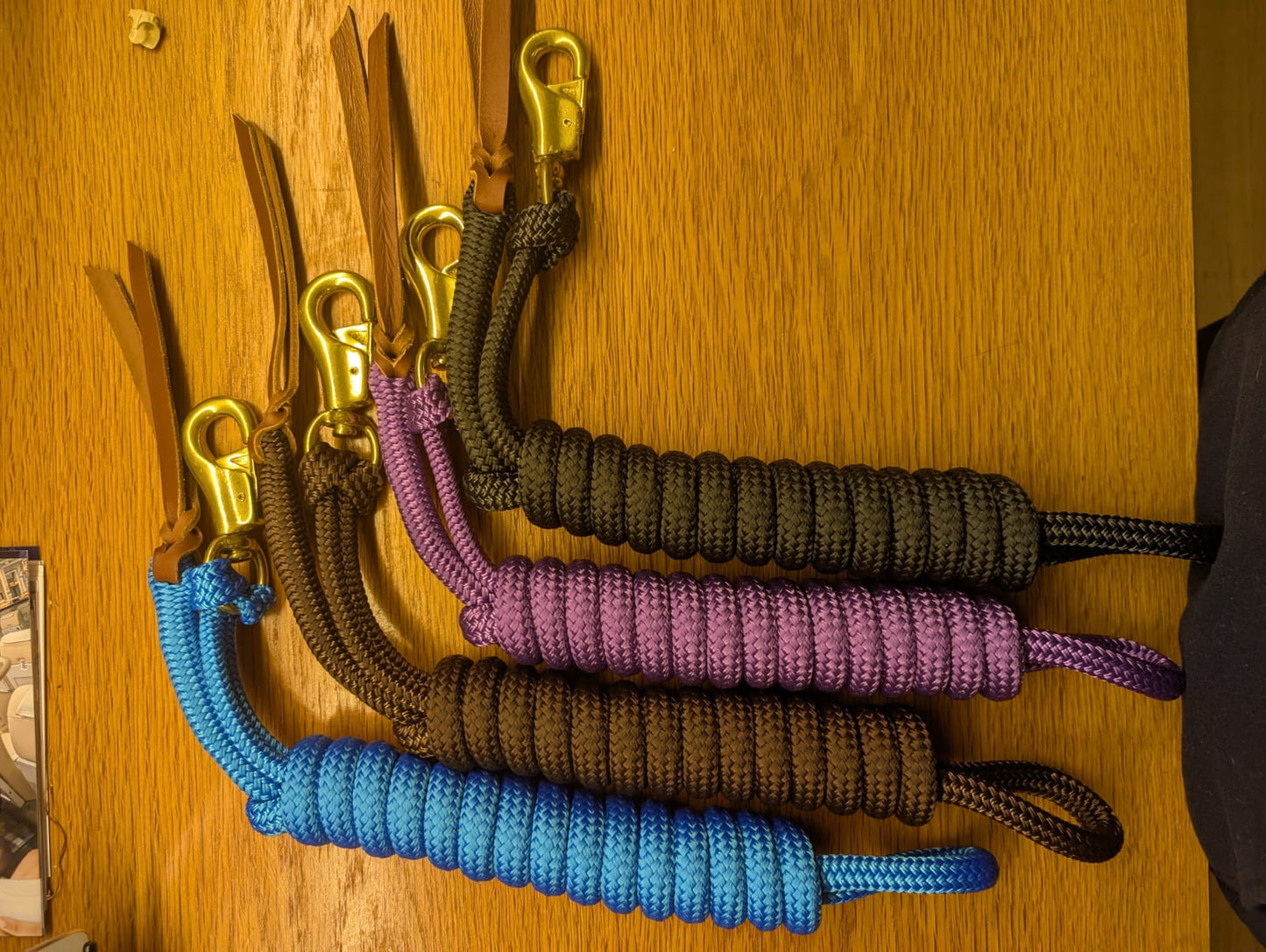 Equine System Lead