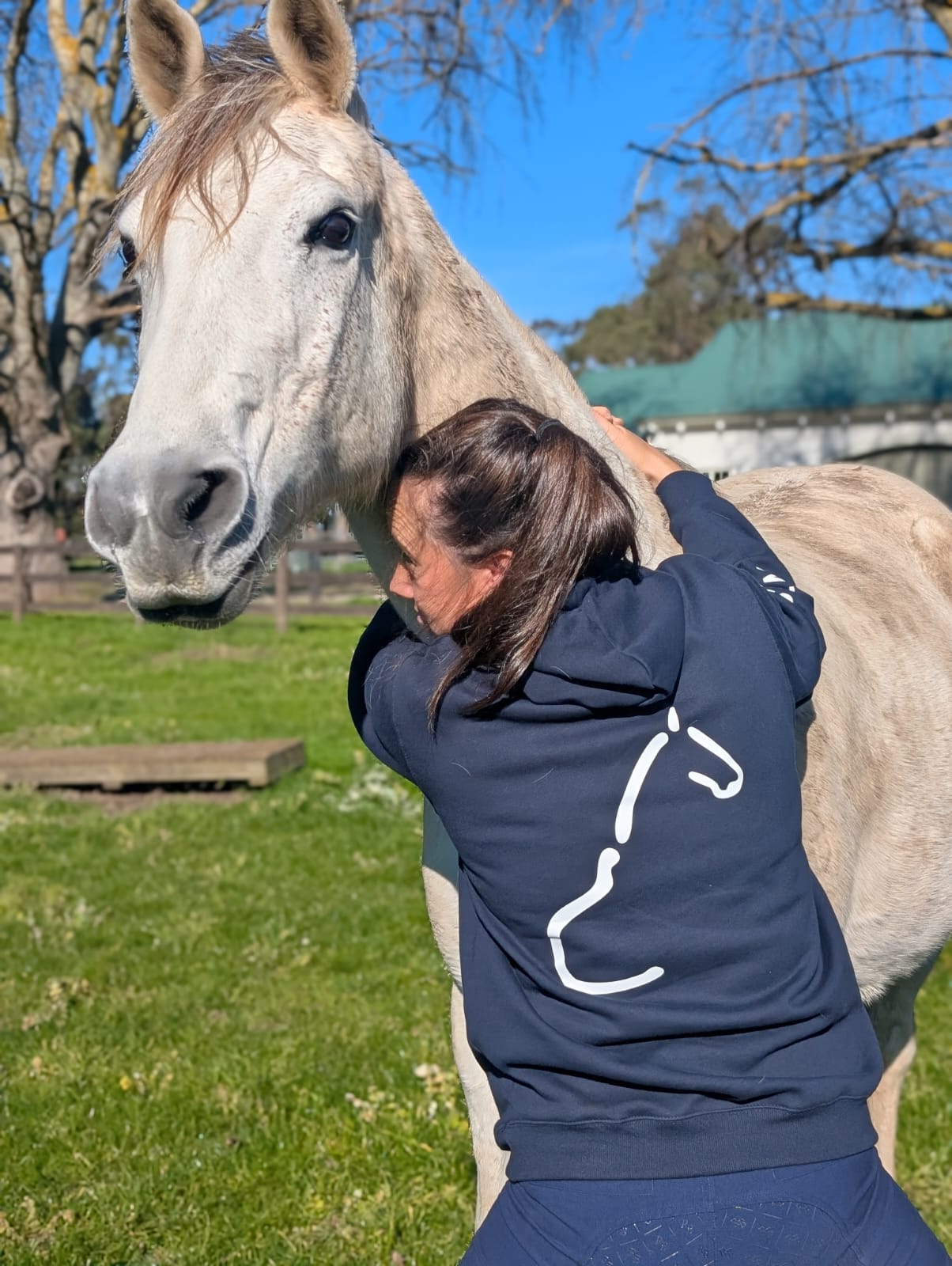 The OG Equine System Hoodie