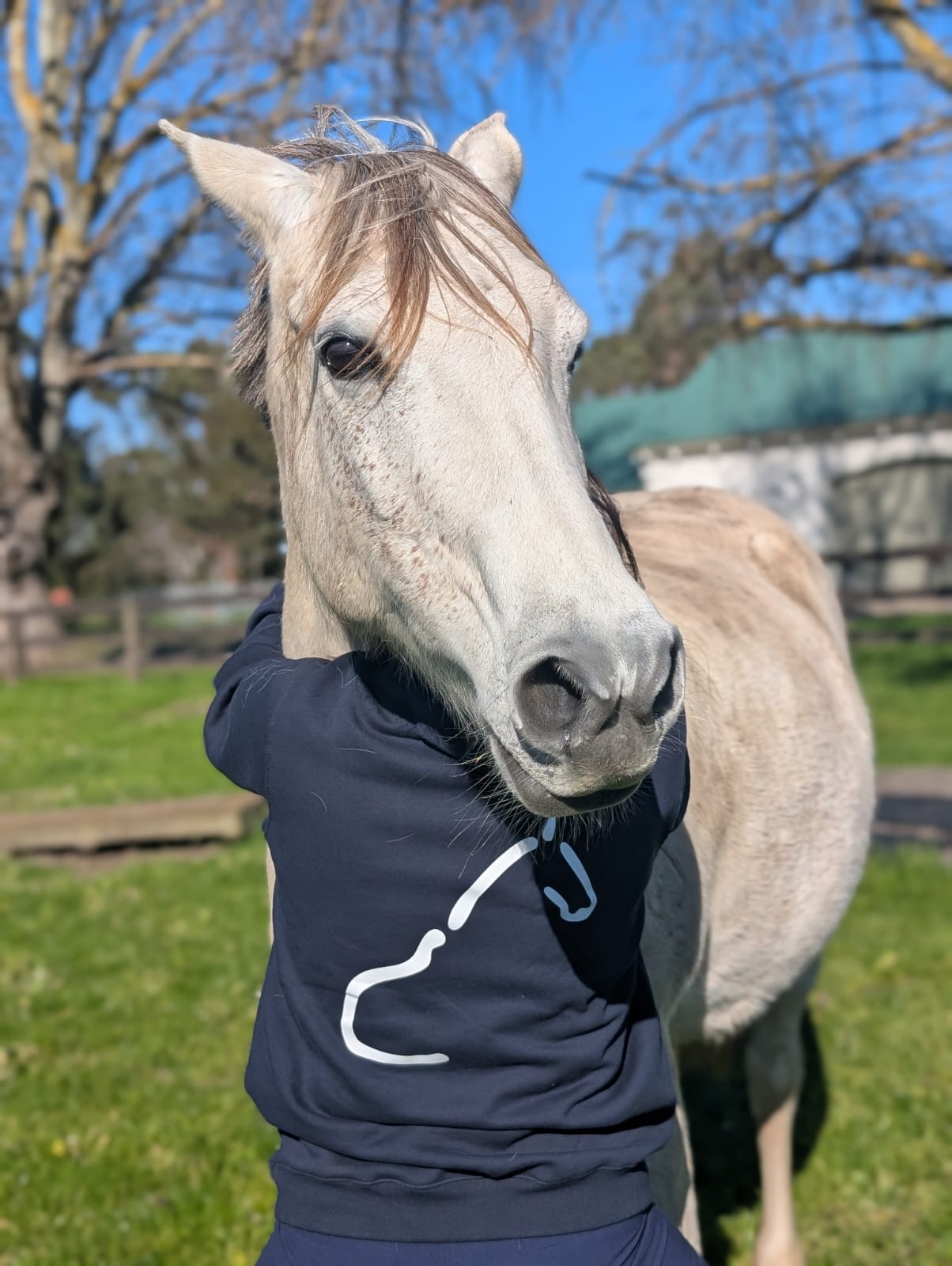 The OG Equine System Hoodie