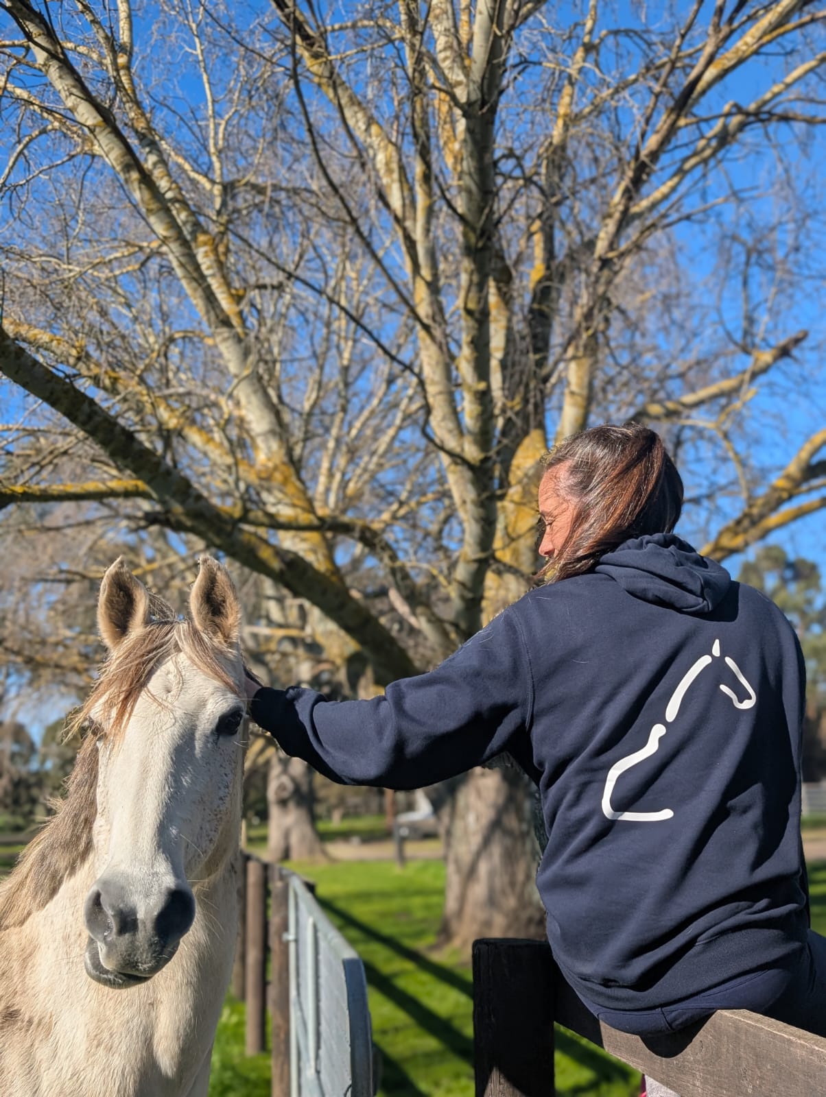 The OG Equine System Hoodie