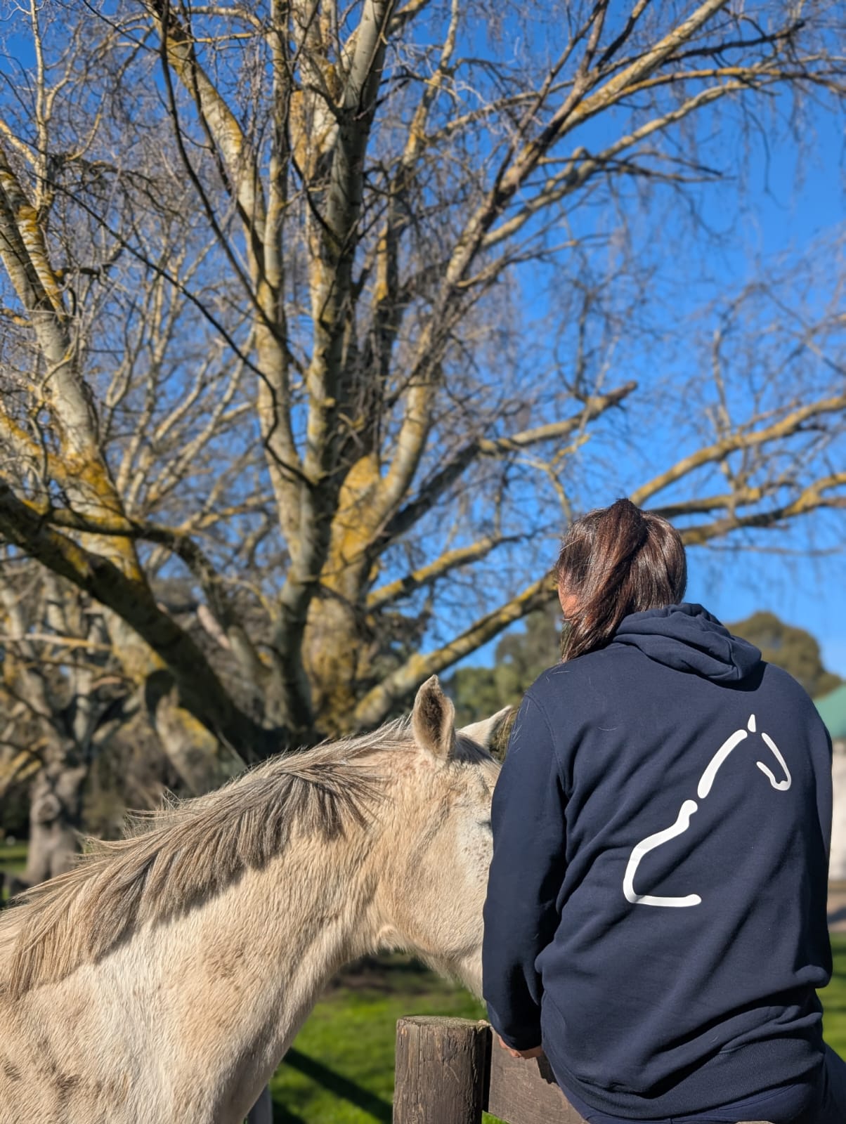 The OG Equine System Hoodie