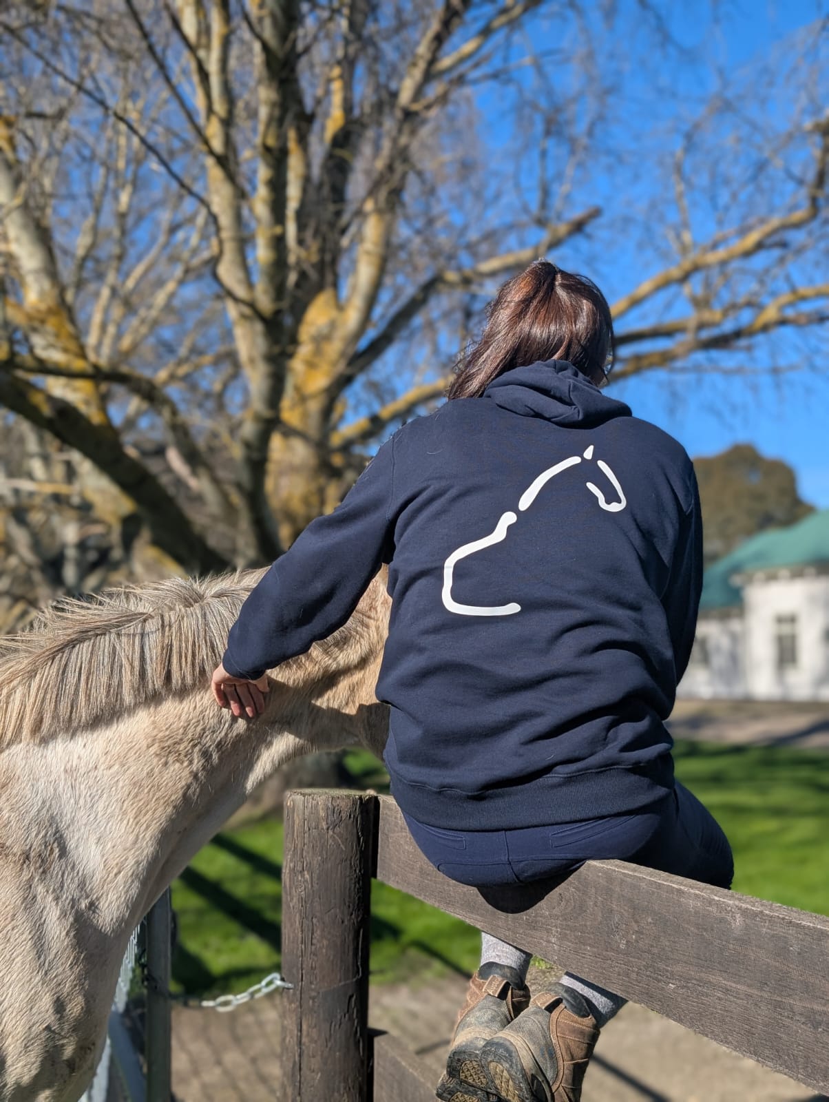 The OG Equine System Hoodie
