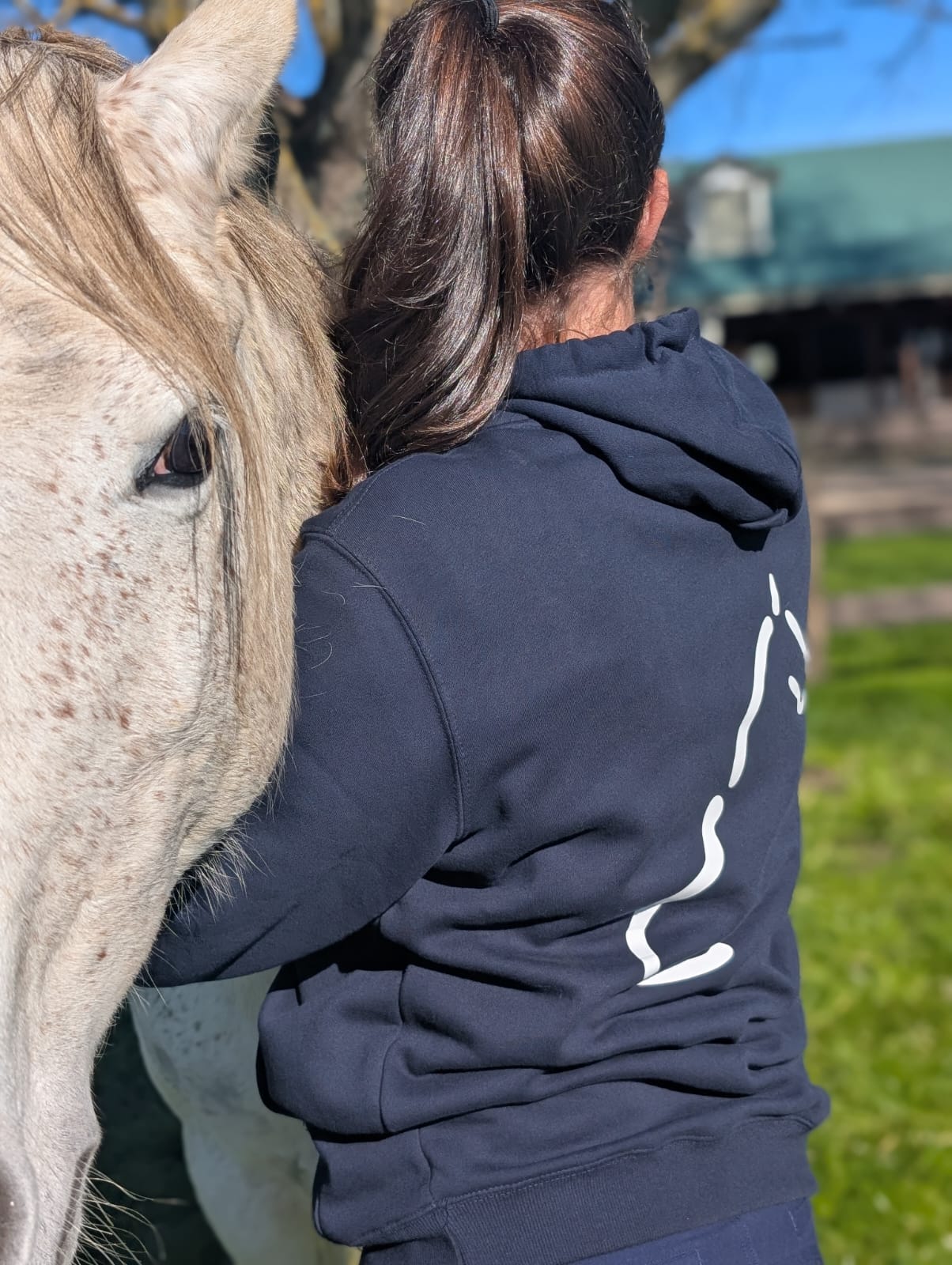 The OG Equine System Hoodie